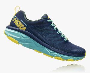 Hoka One One Women's Challenger ATR 5 Road Running Shoes Blue/Green Canada Sale [IOLCH-9740]